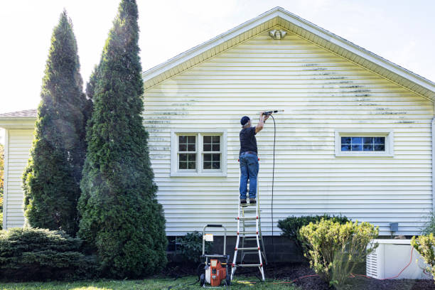 Best Soft Washing for Delicate Surfaces in Kent Estates, IA